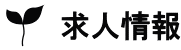 求人情報