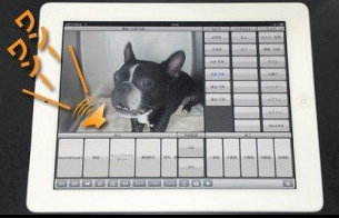 i－ＮＥＸＴ動物病院